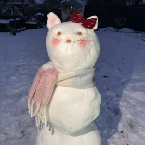 C6A020BE-E5D9-436E-BAF5-6BBA29B6748A