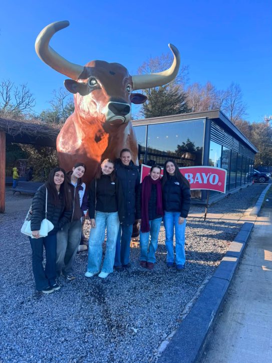 Auslandsaufenthalt in Chile- una experiencia inolvidable